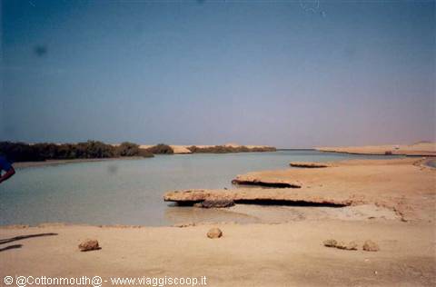 Parco di Ras Mohammed - Il lago Magico