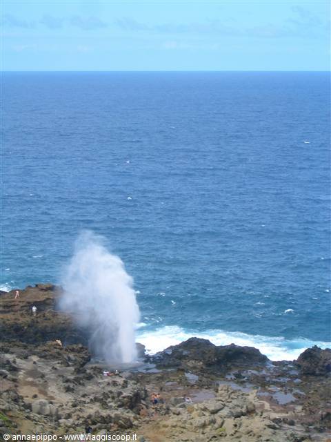 BLOW HOLE