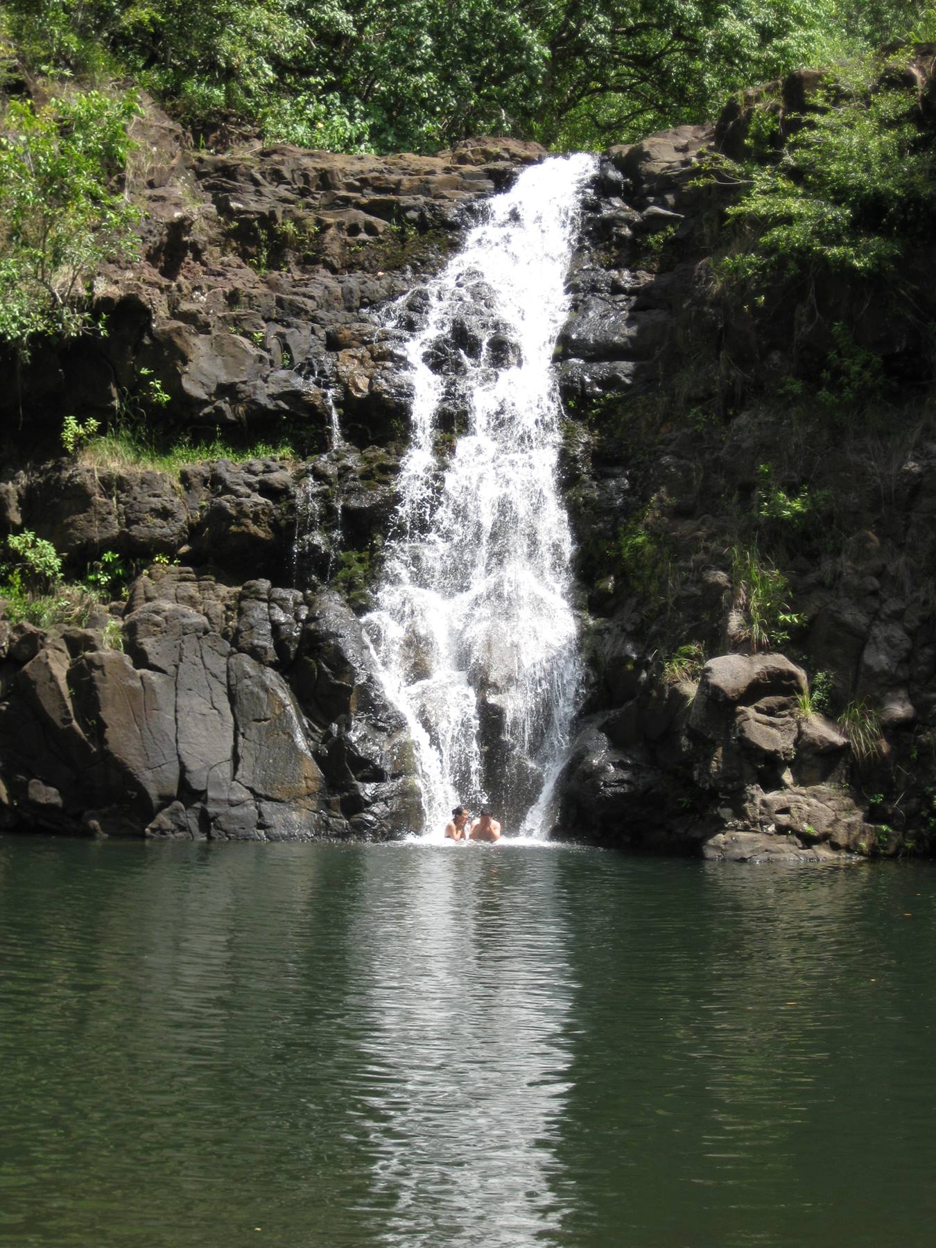 Shall we take a dip?