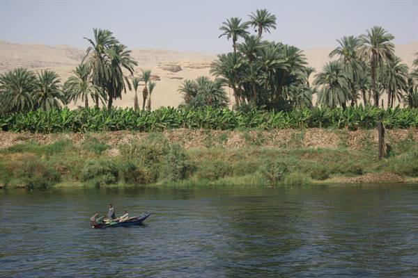Fishermen on small boat on the Nile, palm and banana shore