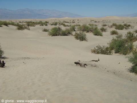 Death Valley - sand dunes