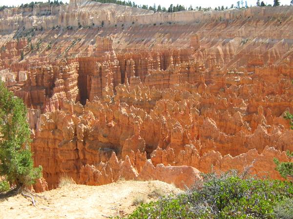 Bryce canyon