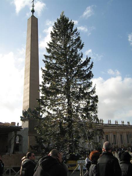 Tourists stand before the Egyptian obelisk and the large Christmas tree in St. Peter's Square