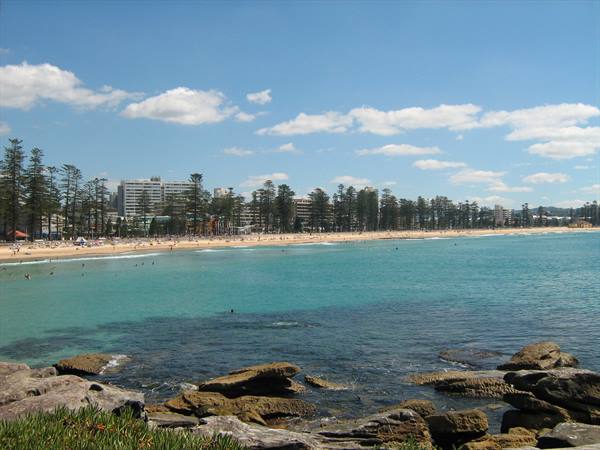 Swimmers off the rocks at Manly Beach, pines and palms along the sand