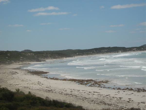 Pale sandy beach with seaweed, white breaking waves and green dunes