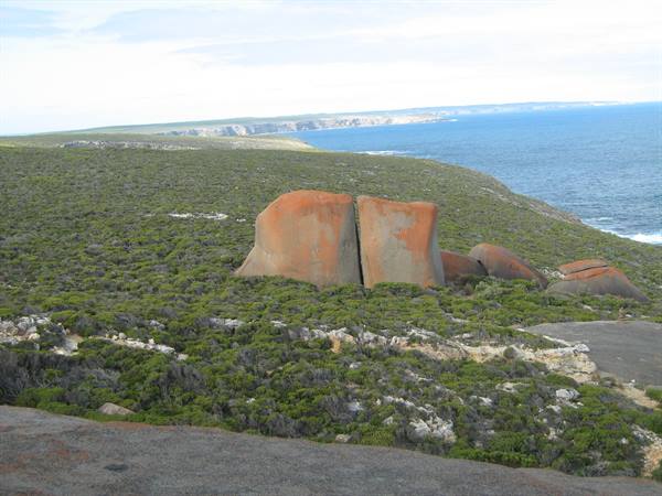 Split granite boulder with orange lichen above coastal shrubland, Kangaroo Island