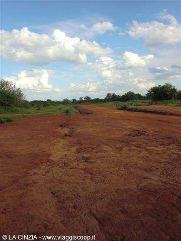THE RED EARTH OF TSAVO EAST