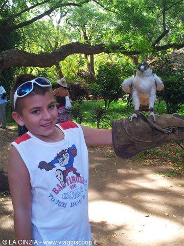 ANDREA AT THE FALCONRY IN MALINDI