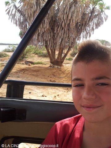 ANDREA ON SAFARI LION SIGHTING