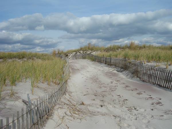 Sandy path between wooden fences and dune grass under cloudy sky