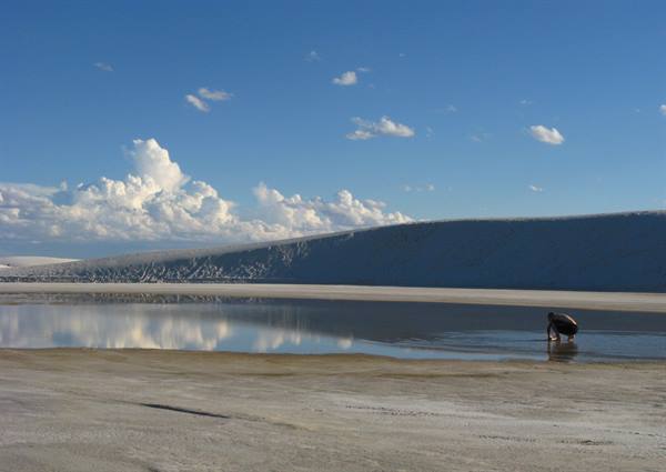 Acqua riflettente tra le dune di gesso di White Sands, persona china
