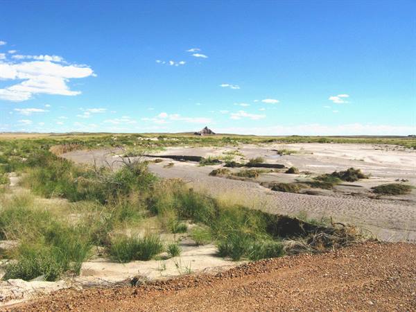 Fiume sabbioso in secca tra arbusti verdi, ceppi rocciosi all'orizzonte, Monument Valley
