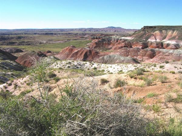 Colline stratificate rosse e grigie della Painted Desert sotto cielo azzurro
