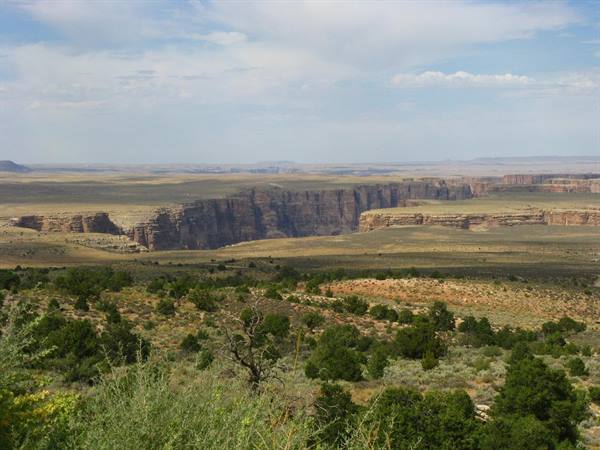 Canyon de Chelly: pareti rossastre incassate nella prateria verde