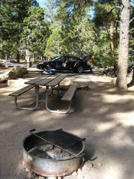 Tavolo in legno e braciere al campeggio tra i pini del Grand Canyon