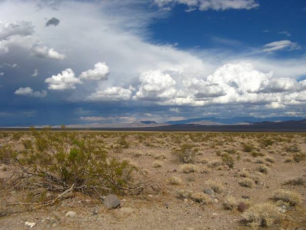 Deserto ghiaioso con arbusti secchi e nuvole gonfie, Death Valley