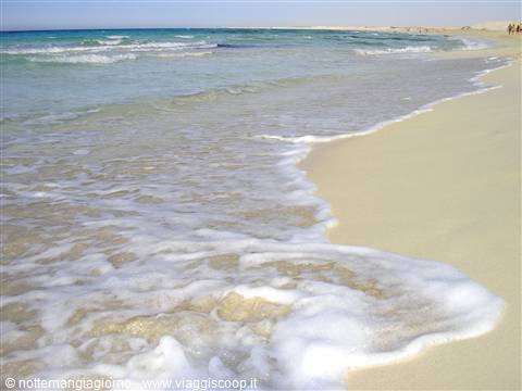 Foamy waves washing over white sand, turquoise sea, seaweed along the shore