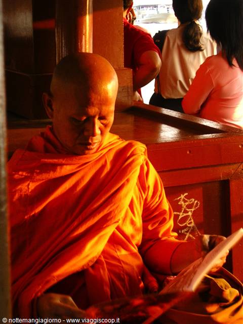 Buddhist monk in orange robes reads a text in warm temple light