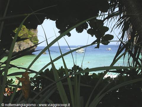 Turquoise sea with boats framed by plants, limestone cliff on the left