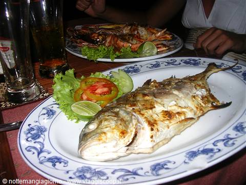 Grilled whole fish on blue plate with salad, lime and beers on table