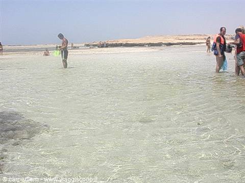 Tourists wading in shallow clear water with masks, sandy beach in background