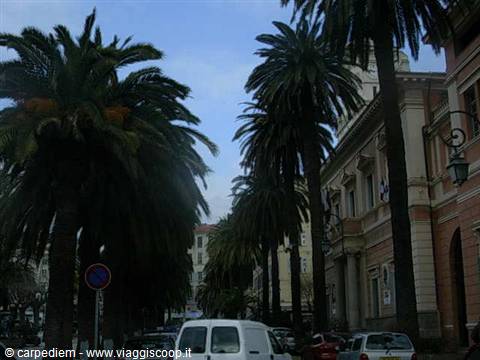 Tall palm trees lining a city street, parked cars, ornate building with globe lamps