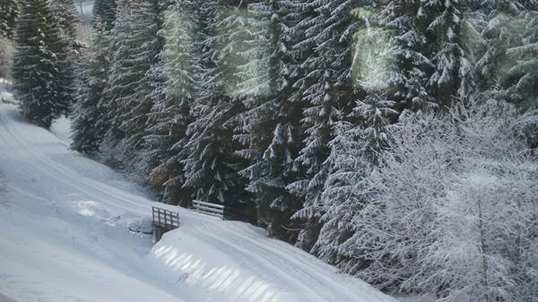 Snow-covered firs and small snowy wooden bridge seen from the train window