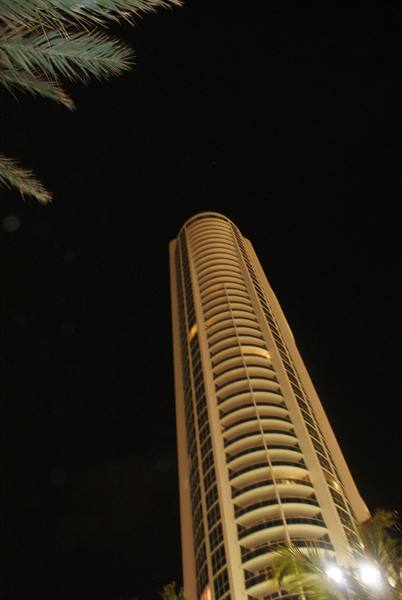 Illuminated cylindrical skyscraper at night with palm fronds