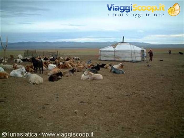 Cattle and horses resting beside a white yurt on the steppe