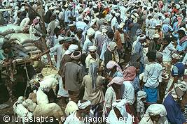 Bay el fahid: the market