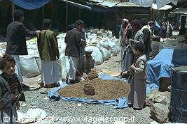 in the suq