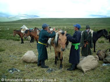 loading the horses