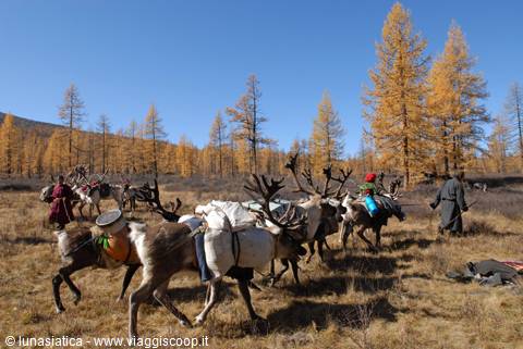 tsaatan tribe