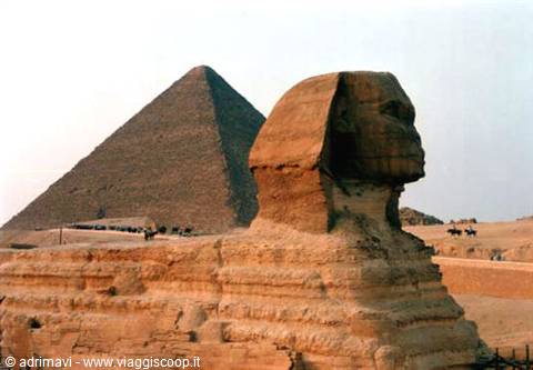 the Sphinx - Giza