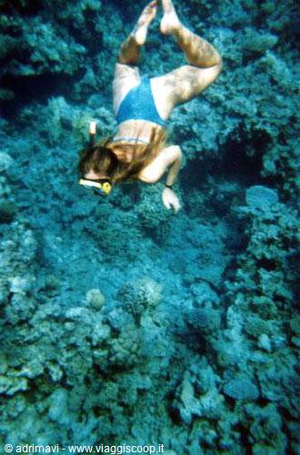 seabed
