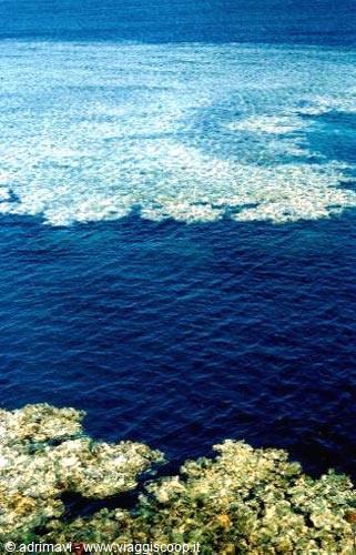 reef at Sharm el Sheikh