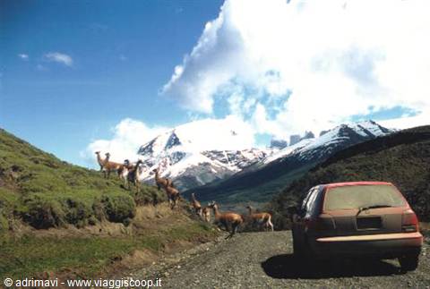 road - Towers of Paine