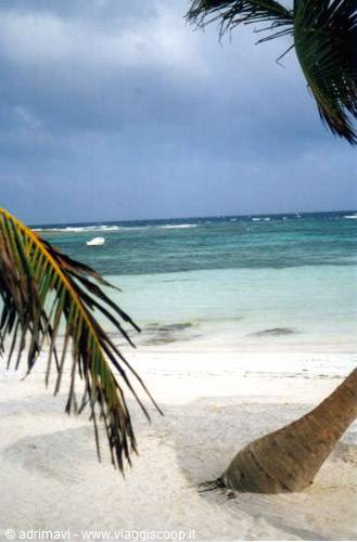 glimpse of Akumal beach - riviera maya