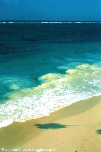 beach at Tulum