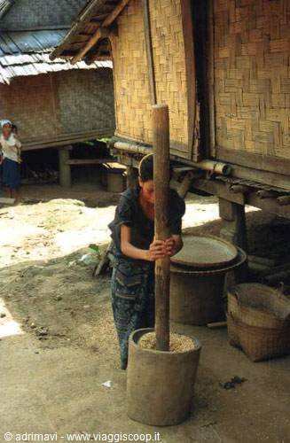 rice processing - Mekong