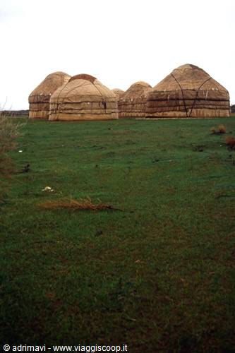 yurt camp - kizil-kum desert