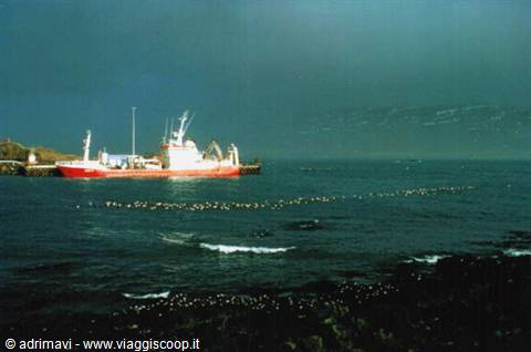 ship in harbour - storm