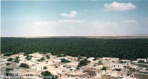 oasis of Nefta
