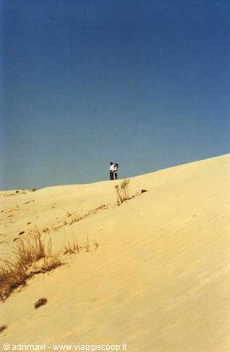 dunes of Nefta