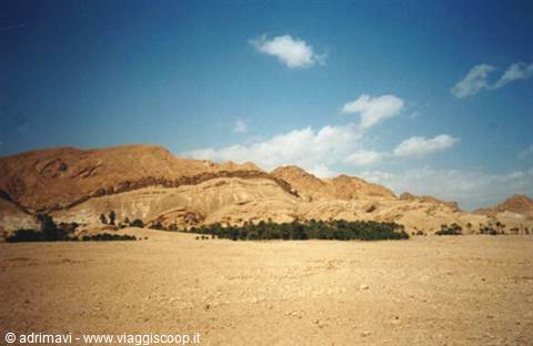 towards the mountain oases