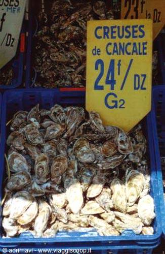 the oyster market of Cancale