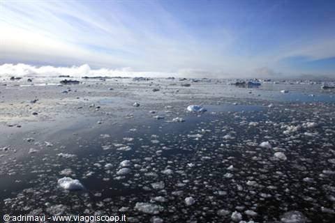 Floating ice chunks scattered on dark sea under cloudy polar sky