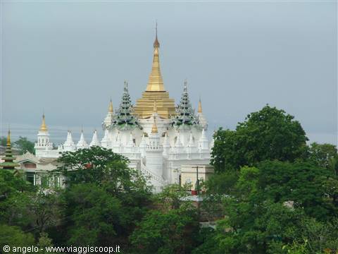 White pagoda with golden spire rising above green trees, overcast sky