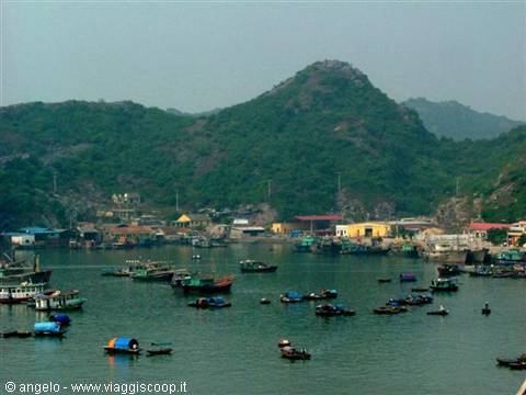 Fishing boats in Cat Ba harbor below green limestone hills