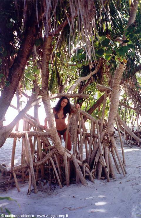 Mangroves